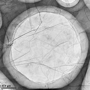 单层石墨烯（进口） Single Layer Graphene