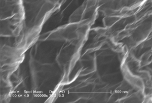 单层石墨烯（进口/10g）  Single Layer Graphene (Graphene Factory)