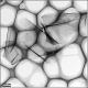 单层氧化石墨烯（H法/进口） Single Layer Graphene Oxide (H Method)