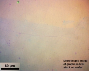 基于硅基的CVD石墨烯与CVD氮化硼异质结构（1*1cm，4片装）