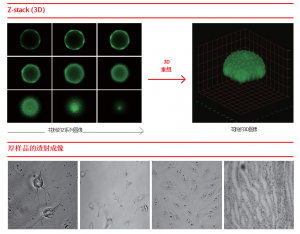 Nanoscope system K1-Fluo 激光荧光共聚焦显微镜